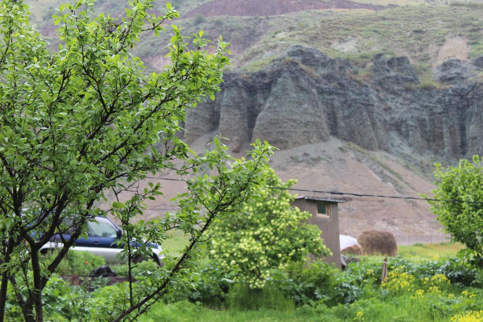 Tirebi Farmhouse Wardsia Exterior foto